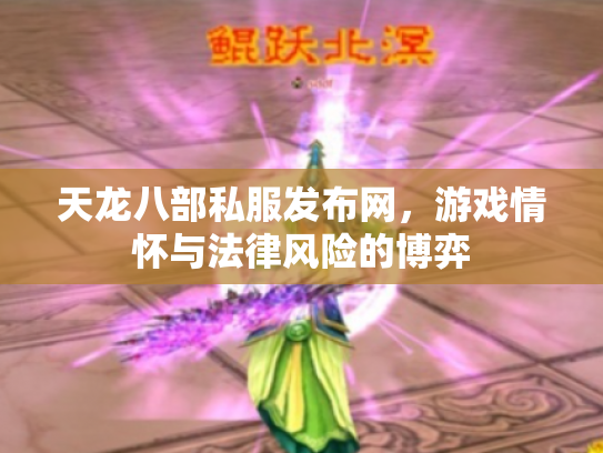 天龙八部私服发布网，游戏情怀与法律风险的博弈