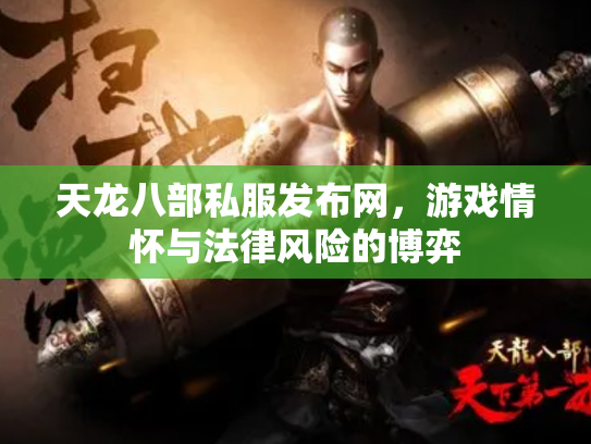 天龙八部私服发布网，游戏情怀与法律风险的博弈