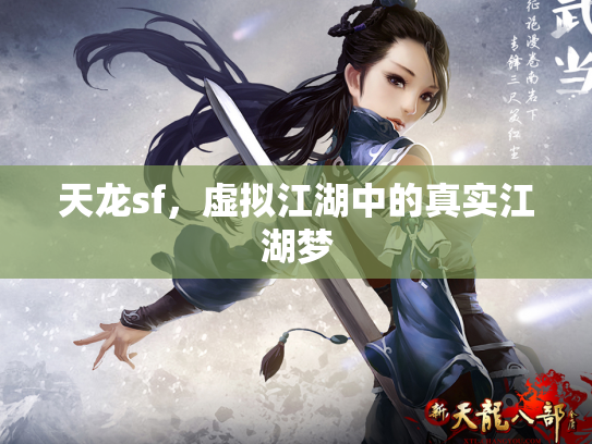天龙sf，虚拟江湖中的真实江湖梦