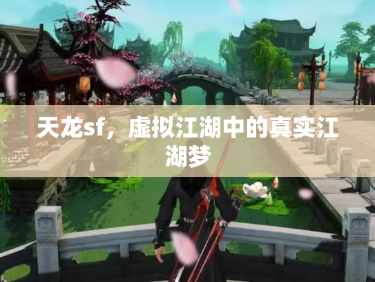 天龙sf，虚拟江湖中的真实江湖梦