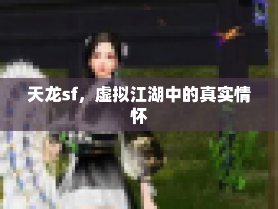 天龙sf，虚拟江湖中的真实情怀