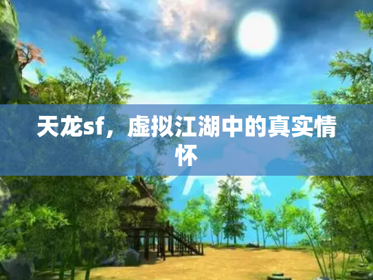 天龙sf，虚拟江湖中的真实情怀