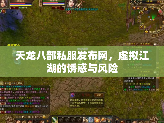 天龙八部私服发布网，虚拟江湖的诱惑与风险
