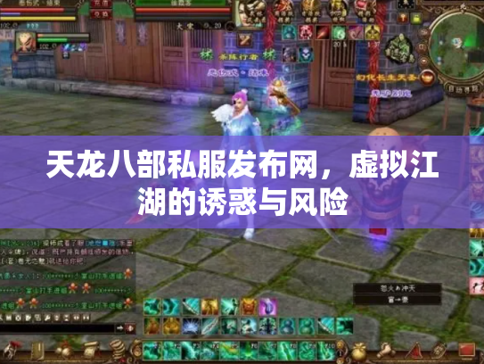 天龙八部私服发布网，虚拟江湖的诱惑与风险