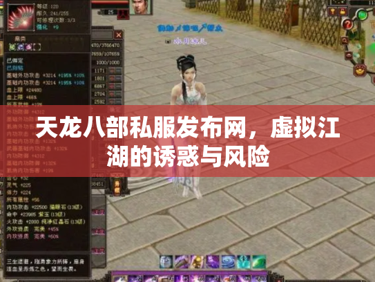 天龙八部私服发布网，虚拟江湖的诱惑与风险