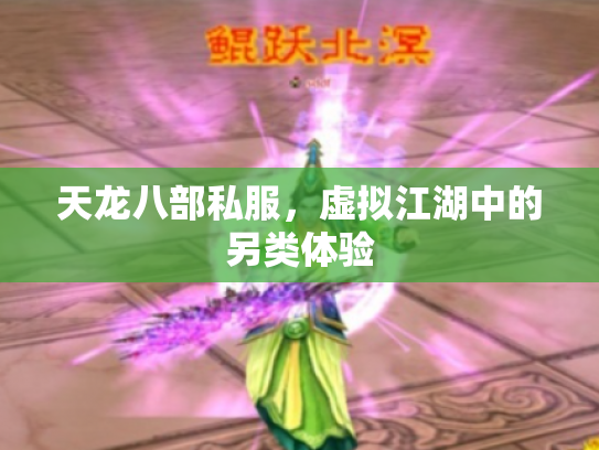 天龙八部私服，虚拟江湖中的另类体验
