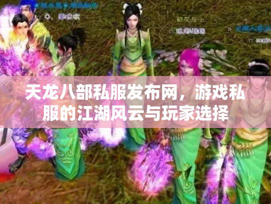 天龙八部私服发布网，游戏私服的江湖风云与玩家选择