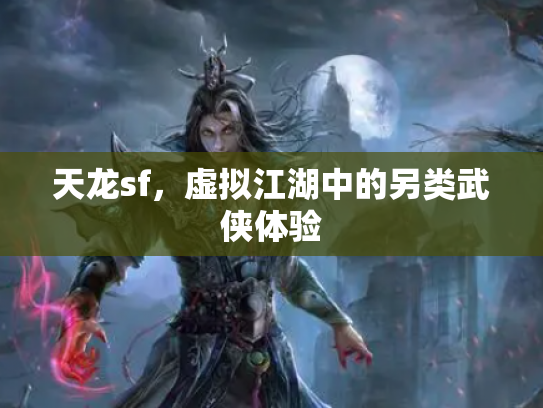 天龙sf，虚拟江湖中的另类武侠体验