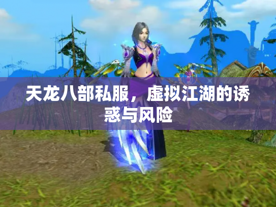 天龙八部私服，虚拟江湖的诱惑与风险