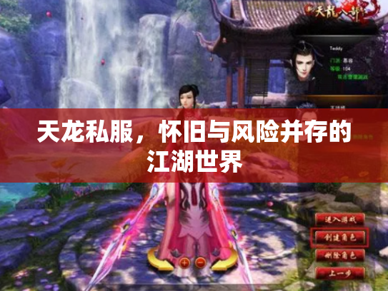 天龙私服，怀旧与风险并存的江湖世界
