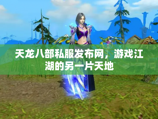 天龙八部私服发布网，游戏江湖的另一片天地