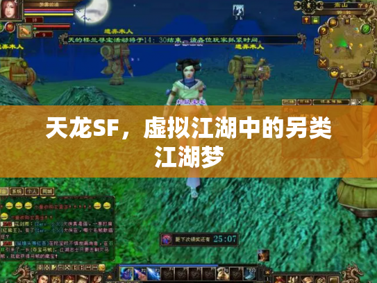 天龙SF，虚拟江湖中的另类江湖梦