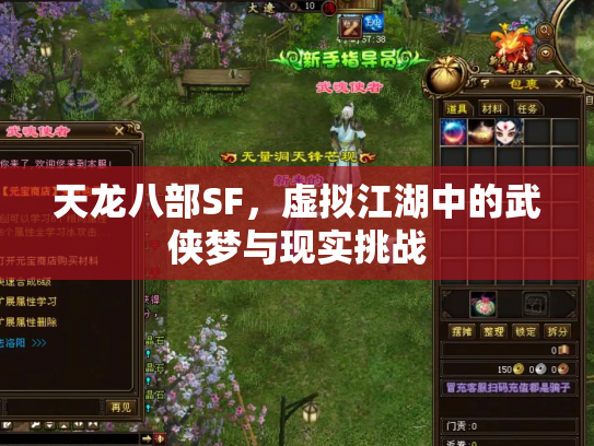 天龙八部SF，虚拟江湖中的武侠梦与现实挑战