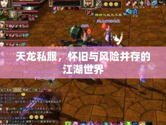 天龙私服，怀旧与风险并存的江湖世界