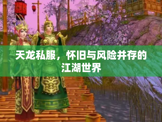 天龙私服，怀旧与风险并存的江湖世界