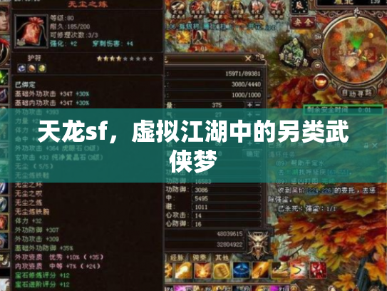 天龙sf，虚拟江湖中的另类武侠梦