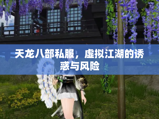 天龙八部私服，虚拟江湖的诱惑与风险