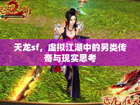 天龙sf，虚拟江湖中的另类传奇与现实思考