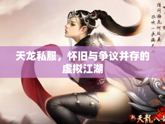 天龙私服，怀旧与争议并存的虚拟江湖