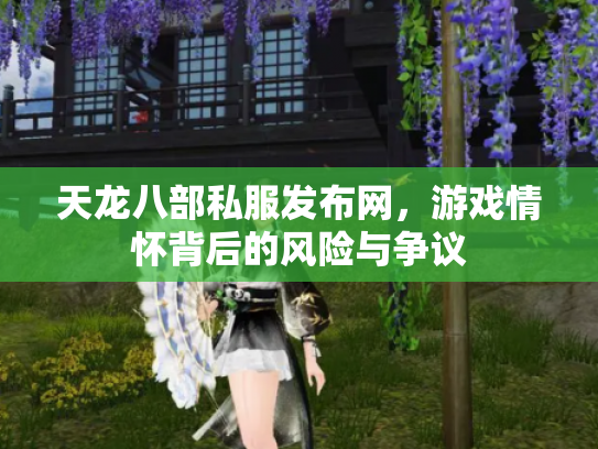 天龙八部私服发布网，游戏情怀背后的风险与争议