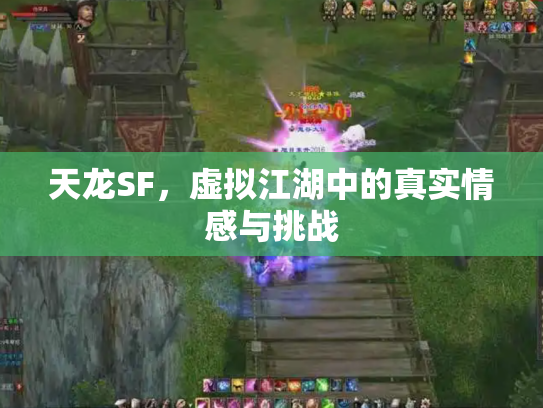 天龙SF，虚拟江湖中的真实情感与挑战
