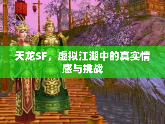 天龙SF，虚拟江湖中的真实情感与挑战