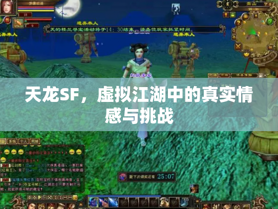 天龙SF，虚拟江湖中的真实情感与挑战