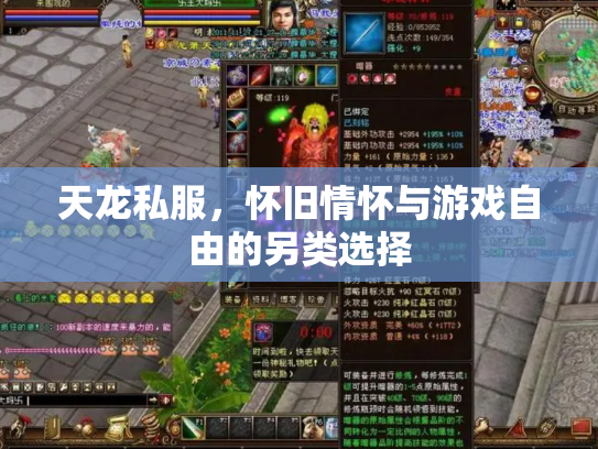 天龙私服，怀旧情怀与游戏自由的另类选择