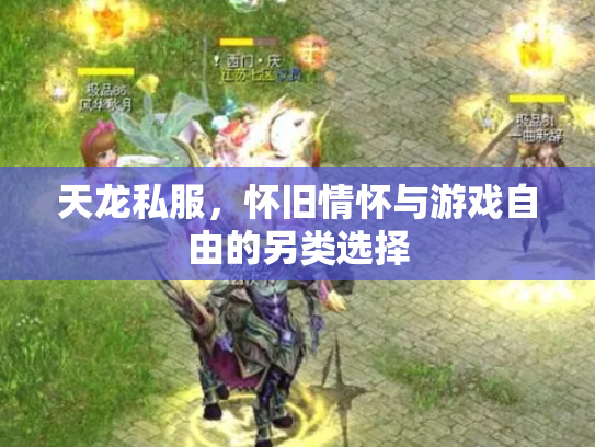 天龙私服，怀旧情怀与游戏自由的另类选择