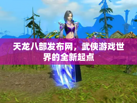 天龙八部发布网，武侠游戏世界的全新起点