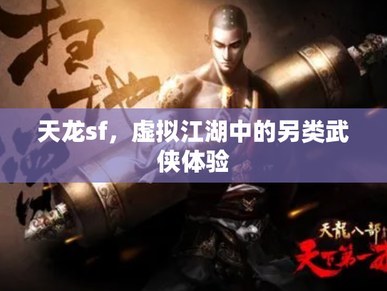 天龙sf，虚拟江湖中的另类武侠体验