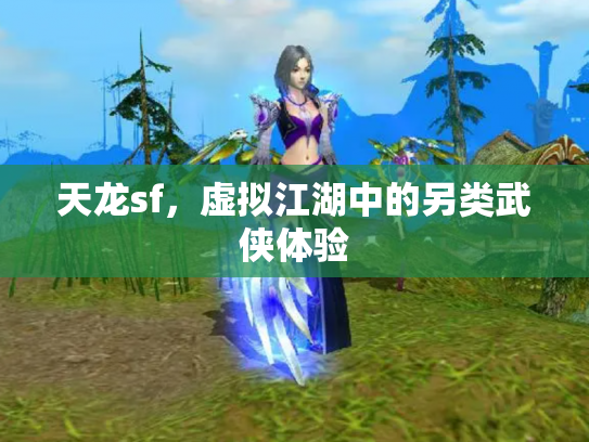 天龙sf，虚拟江湖中的另类武侠体验