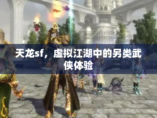 天龙sf，虚拟江湖中的另类武侠体验