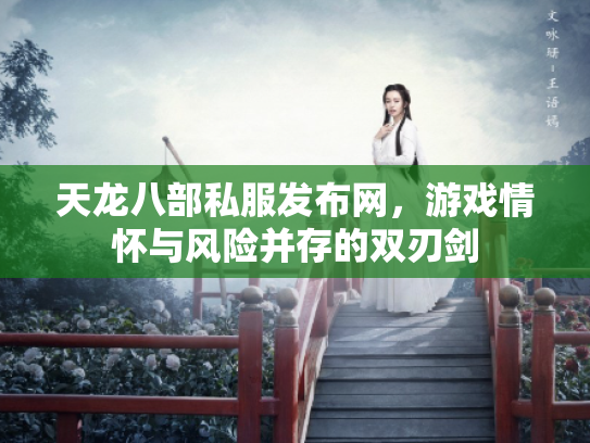 天龙八部私服发布网，游戏情怀与风险并存的双刃剑