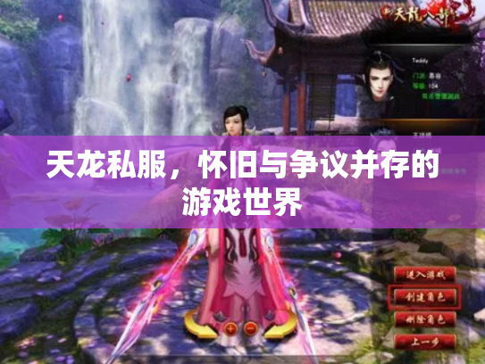 天龙私服，怀旧与争议并存的游戏世界
