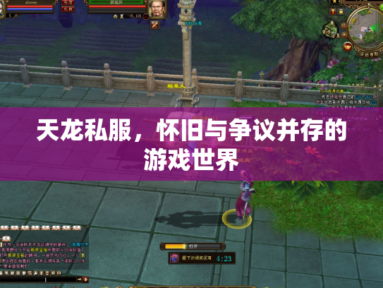 天龙私服，怀旧与争议并存的游戏世界