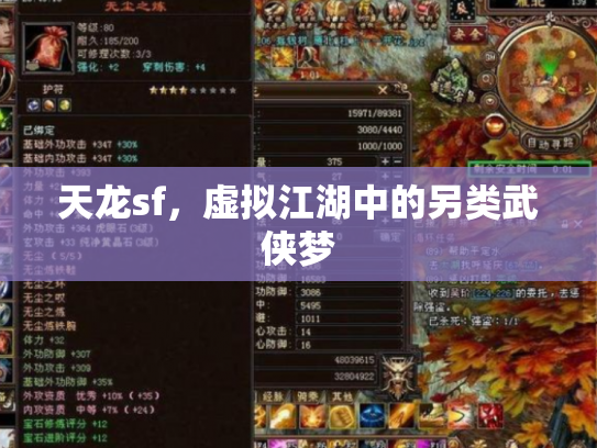 天龙sf，虚拟江湖中的另类武侠梦