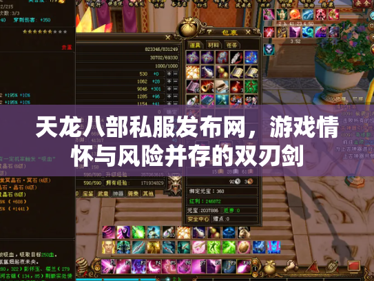 天龙八部私服发布网，游戏情怀与风险并存的双刃剑