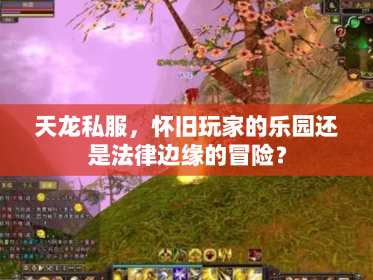 天龙私服，怀旧玩家的乐园还是法律边缘的冒险？