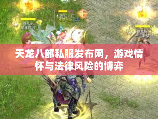 天龙八部私服发布网，游戏情怀与法律风险的博弈