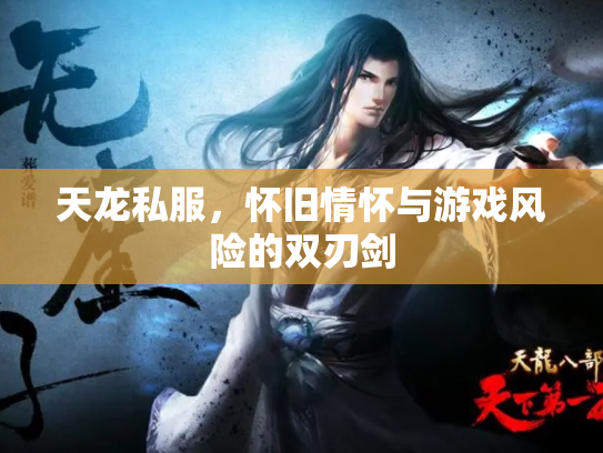 天龙私服，怀旧情怀与游戏风险的双刃剑
