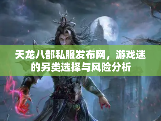 天龙八部私服发布网，游戏迷的另类选择与风险分析