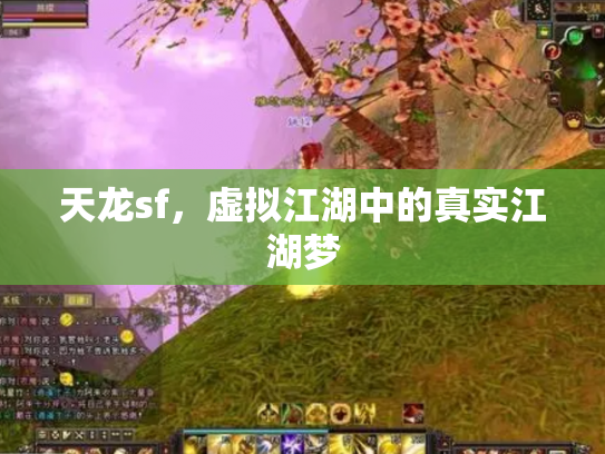 天龙sf，虚拟江湖中的真实江湖梦