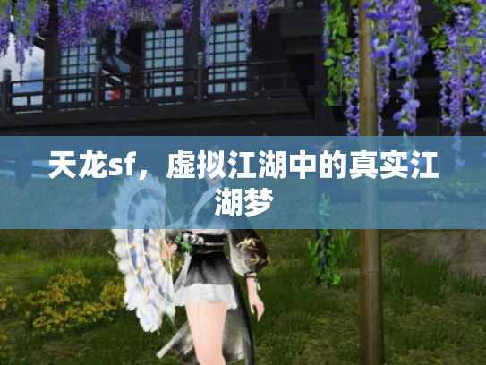 天龙sf，虚拟江湖中的真实江湖梦