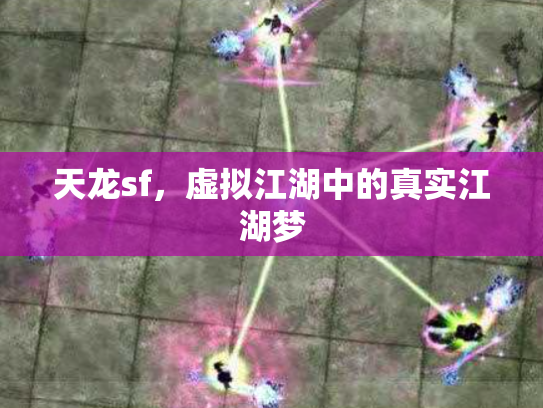 天龙sf，虚拟江湖中的真实江湖梦