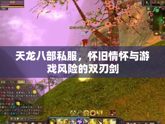 天龙八部私服，怀旧情怀与游戏风险的双刃剑