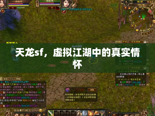 天龙sf，虚拟江湖中的真实情怀