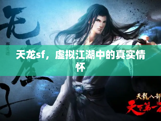 天龙sf，虚拟江湖中的真实情怀