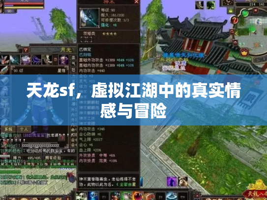 天龙sf，虚拟江湖中的真实情感与冒险