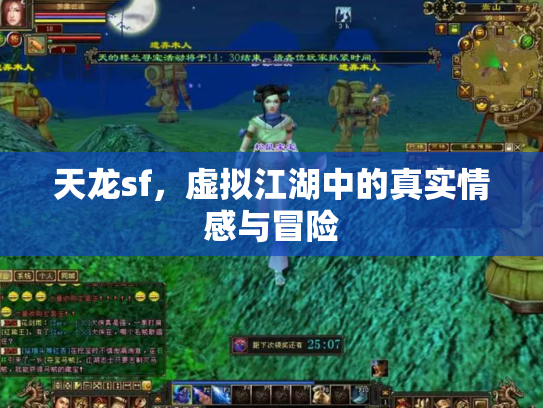 天龙sf，虚拟江湖中的真实情感与冒险